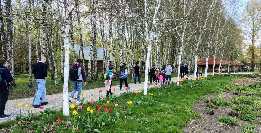 Wiosenny trekking z OIRP w Rzeszowie za nami
